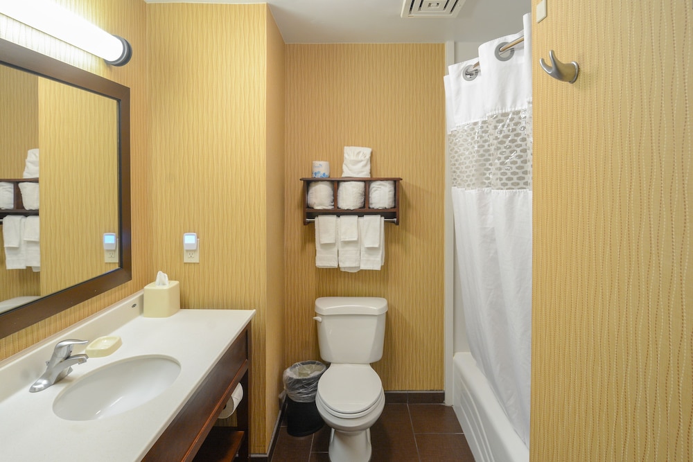 Hampton Inn & Suites Tampa North - photo 33