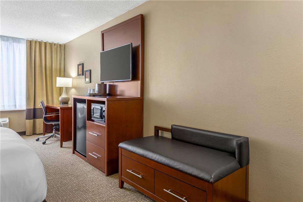 Comfort Inn Memphis Downtown - photo 15