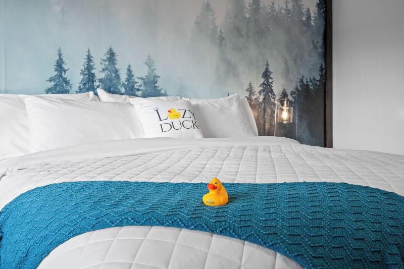 The Lazy Duck Inn - photo 53