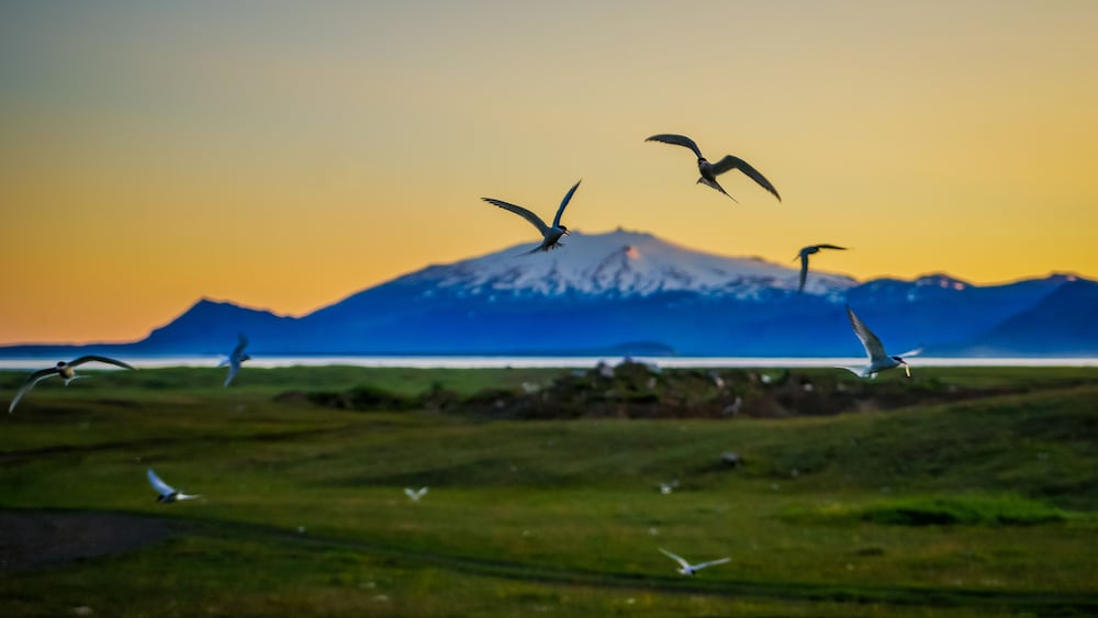Hotel Langaholt in Borgarnes, Iceland