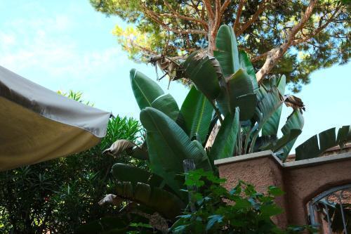 Hotel Piccolo Mondo — Camaiore — photo 2