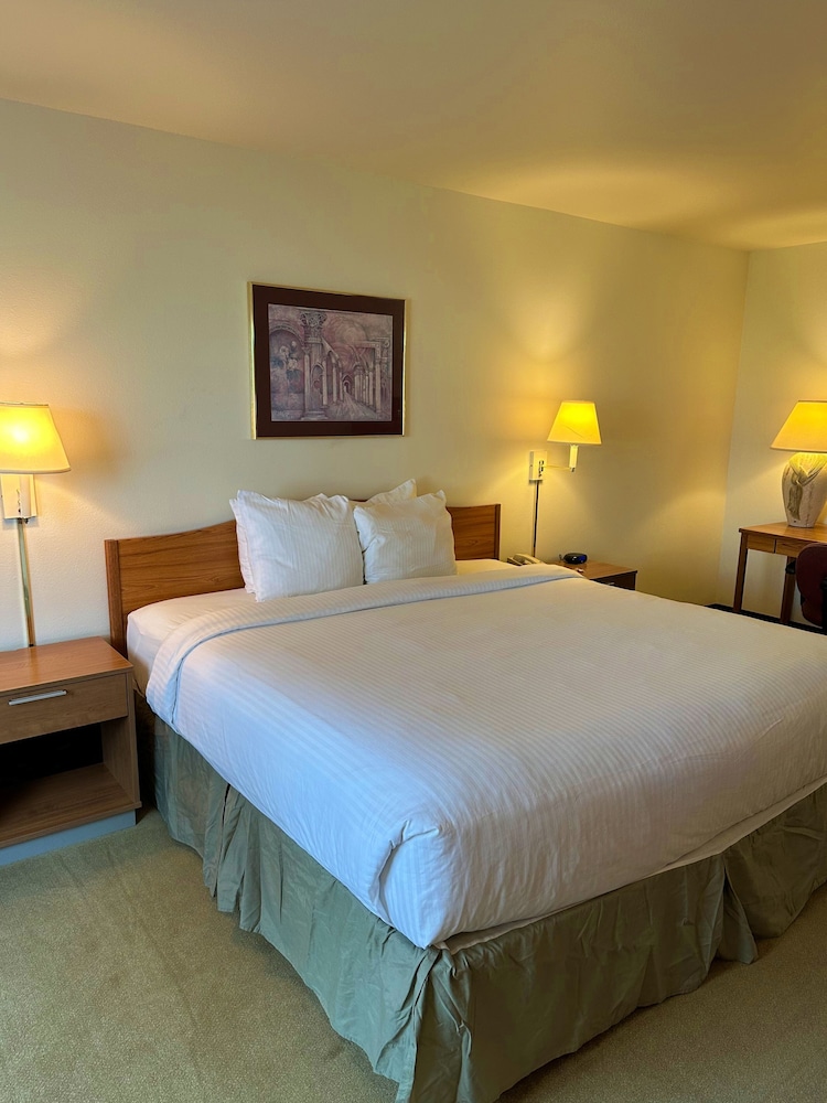 Peppermill Empress Inn - photo 17