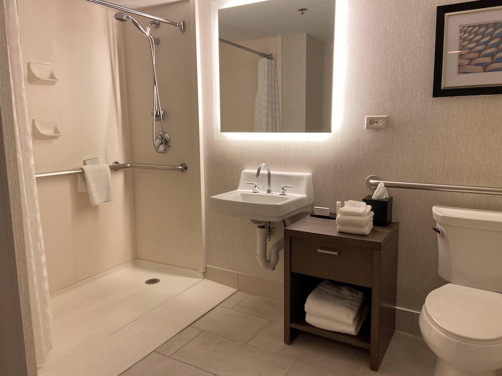 Embassy Suites by Hilton Chicago Schaumburg Woodfield - photo 19