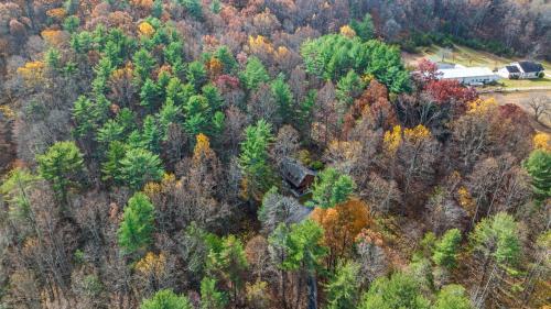 Sleepy Hollow 5BR Cabin National Park 7 Min Hot Tub Fire Pit Sleeps 12 — 4-Star Luxury Hotel in Luray, United States
