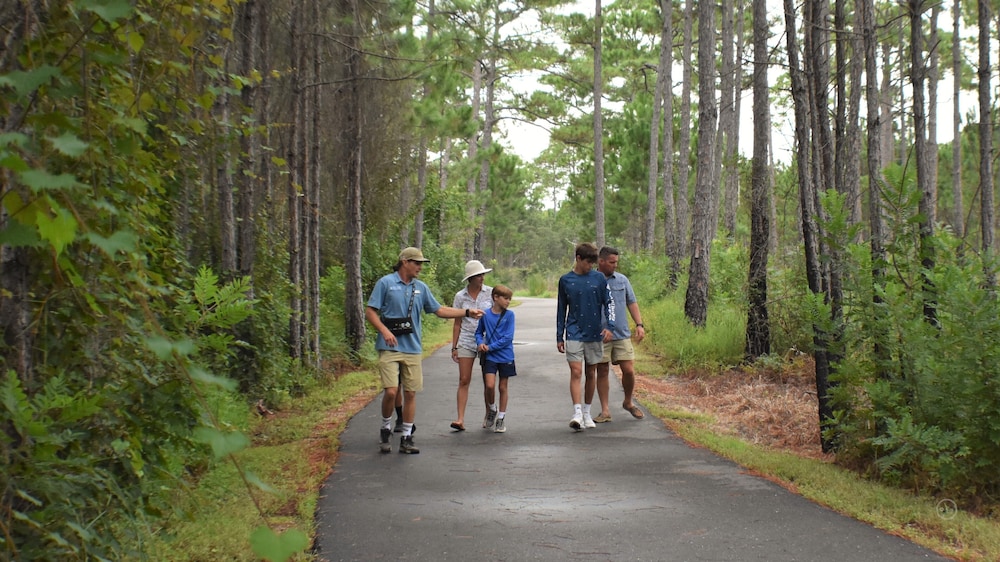 The Cabins at Gulf State Park - photo 85