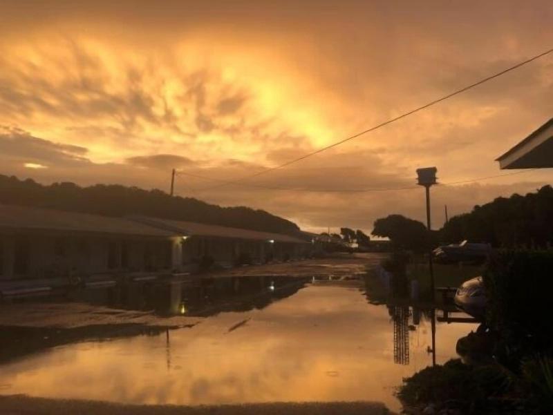 Swell Motel - photo 14