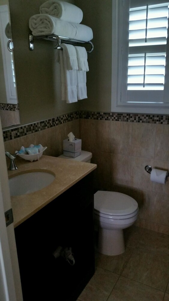 The Local St. Augustine - photo 25