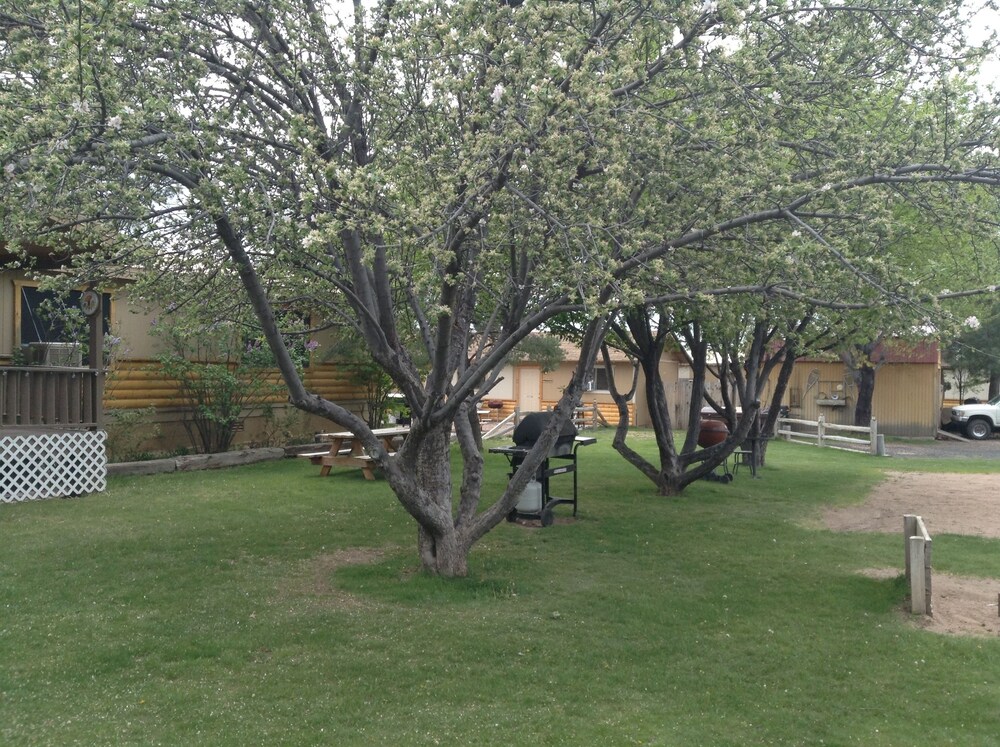 Rainbow's End Resort on Rainbow Lake - photo 123