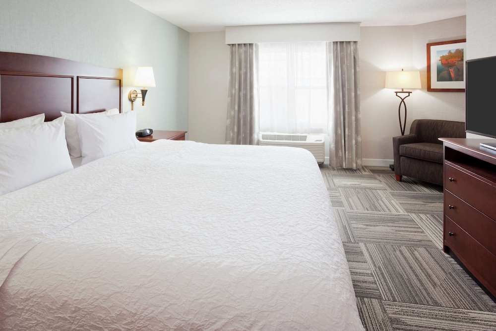 Hampton Inn Duluth Canal Park - photo 18