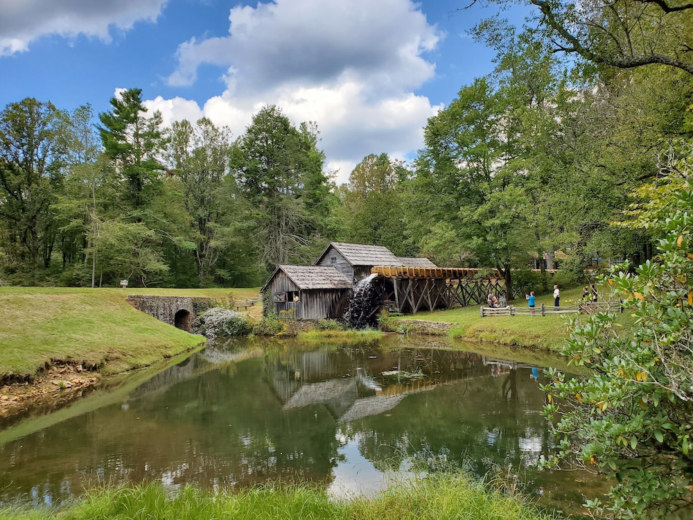 Blue Ridge Manor B&B - photo 53