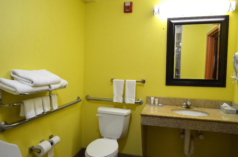 Baymont Inn And Suites Ringgold - photo 20