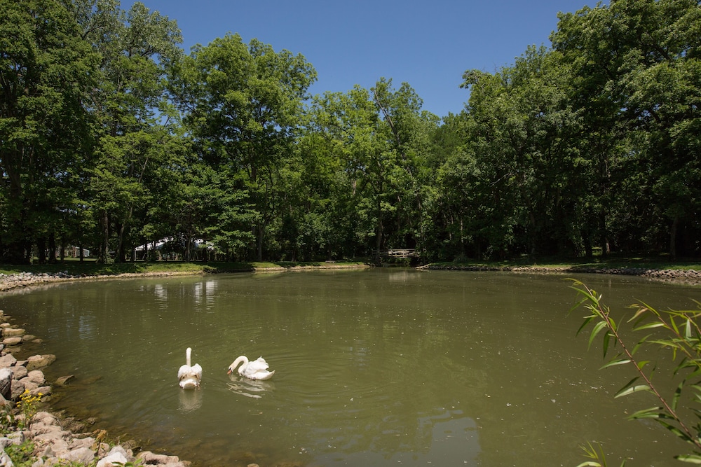 New Harmony Inn Resort and Conference Center - photo 45