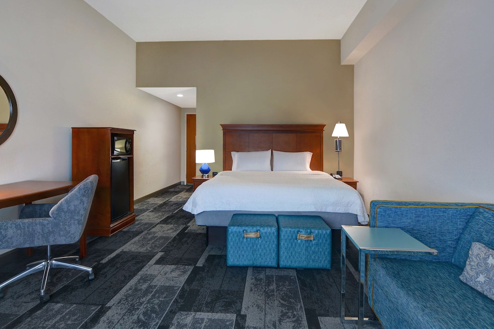 Hampton Suites Birmingham Hoover - photo 10