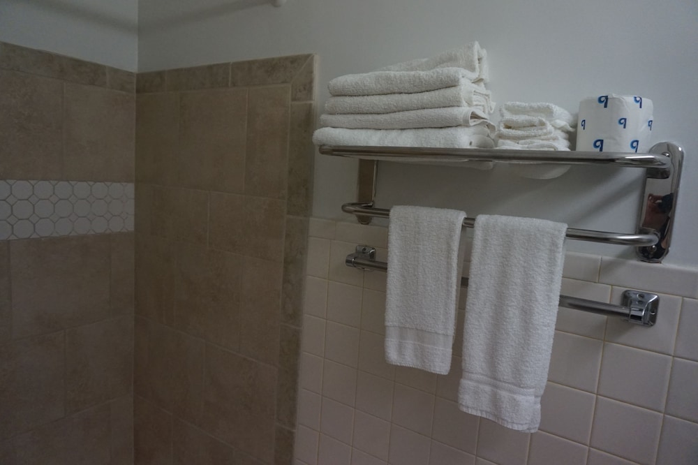 Bellevue Hotel & Suites - photo 41