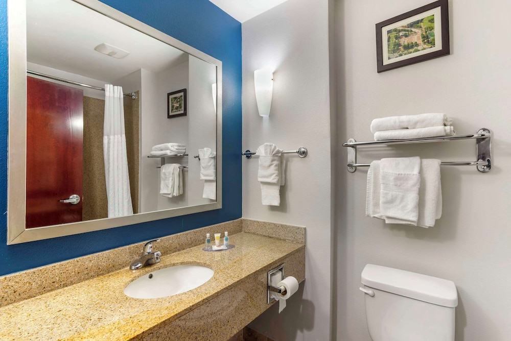 Comfort Suites Atlanta Airport - photo 22