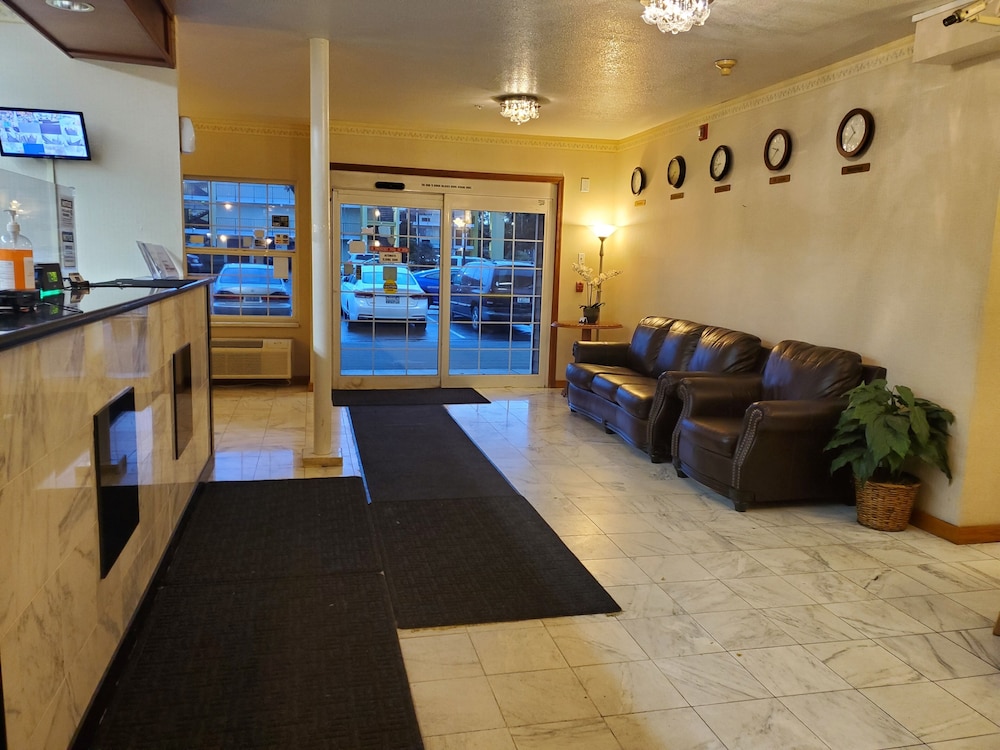 Bellis Inn - photo 4