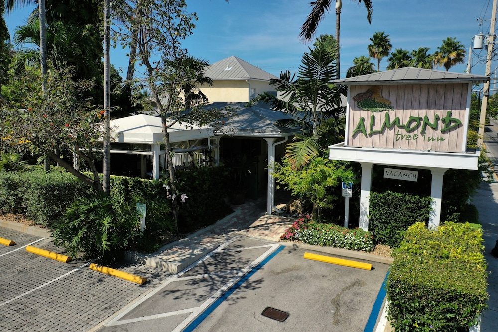 Almond Tree Inn Hotel Adults Only - photo 86