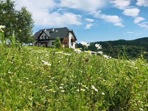 Wilcza Chata — 4-Star Luxury Hotel in Polanczyk, Poland