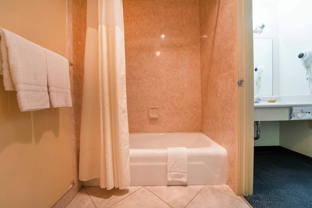 Royal Plaza Inn Indio - photo 52