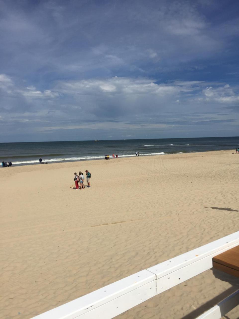 Strandleven — Callantsoog — photo 2