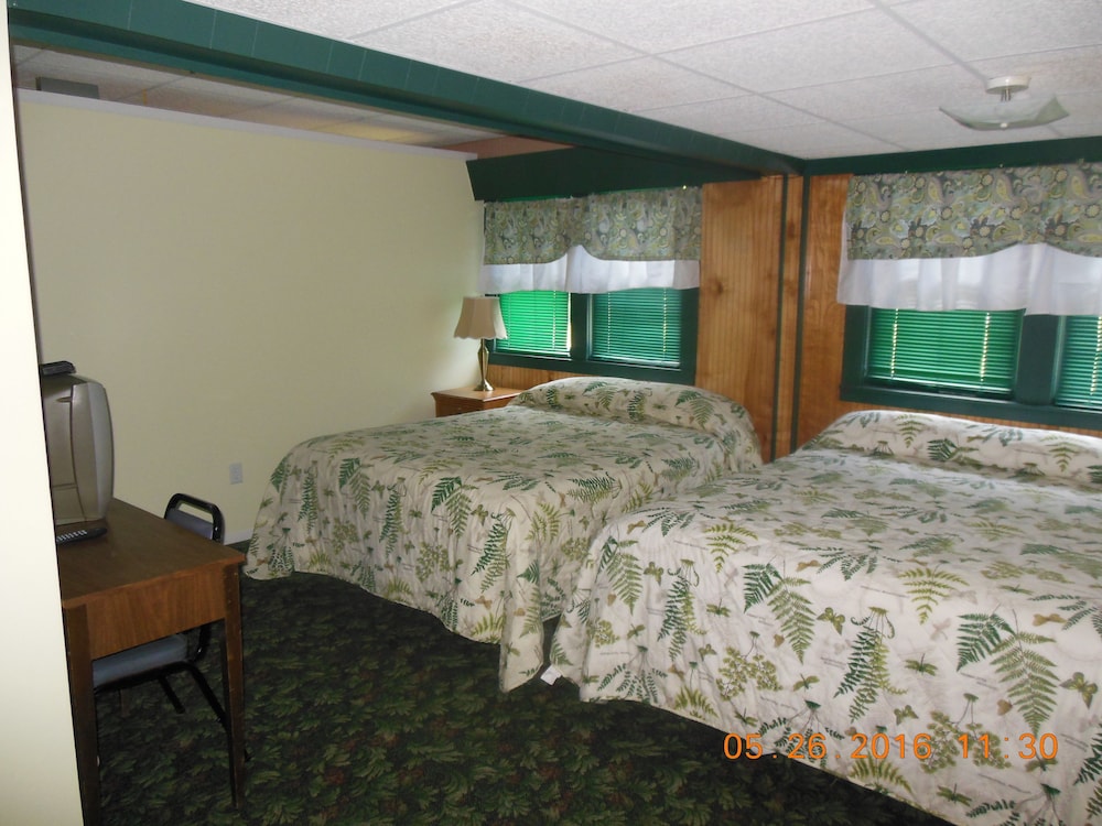 The Evergreen Motel - photo 14