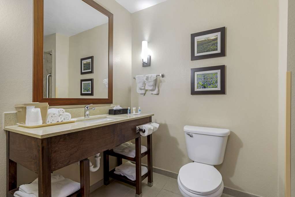 Comfort Suites Benbrook Fort Worth Southwest - photo 8