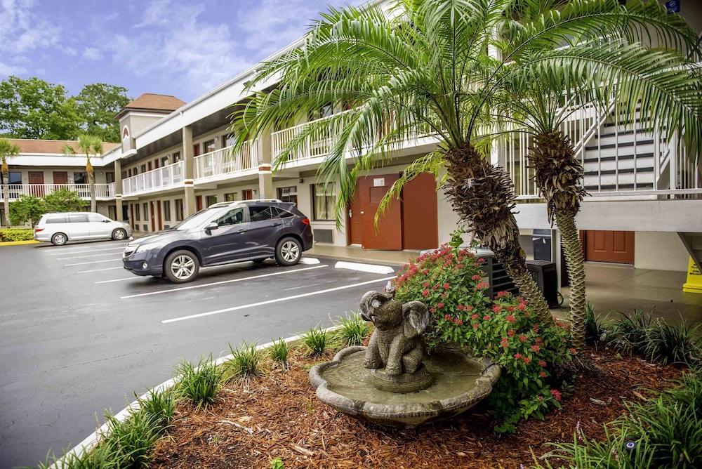Hotel South Tampa & Suites - photo 39