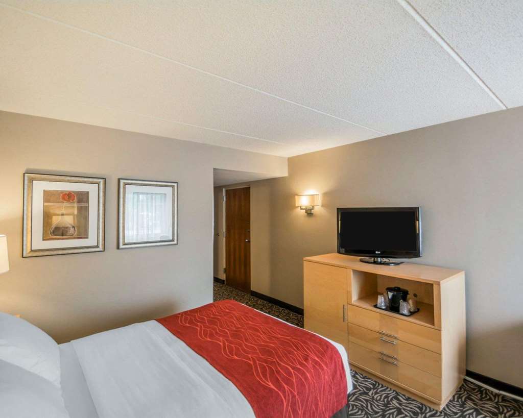 Comfort Inn NYS Fairgrounds - photo 23