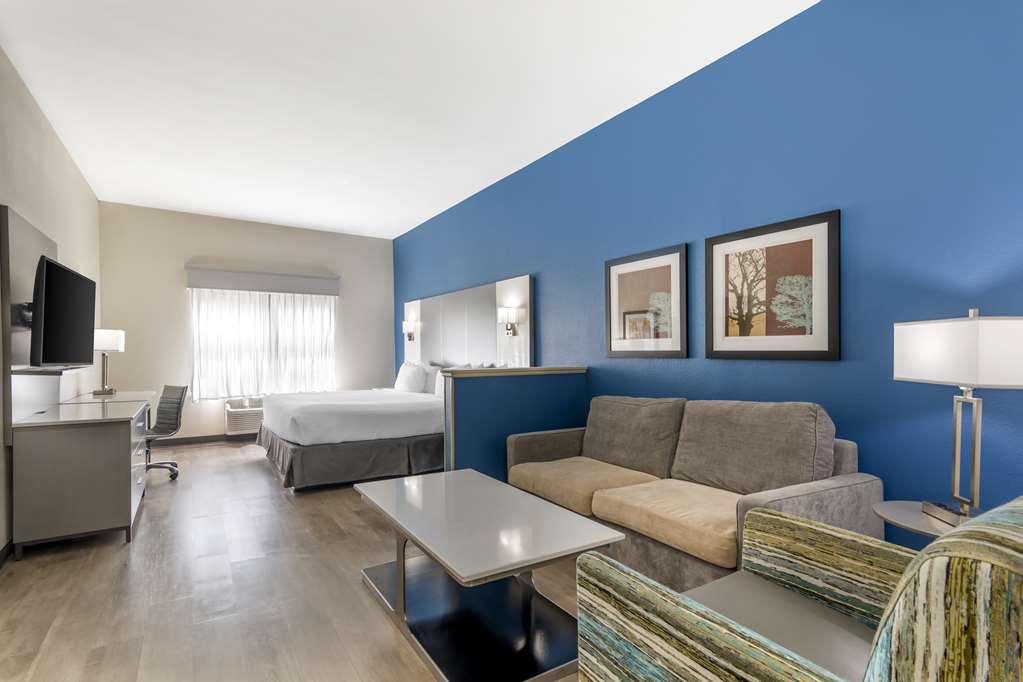 Best Western Plus Lake Lanier gainesville Hotel & Suites - photo 28