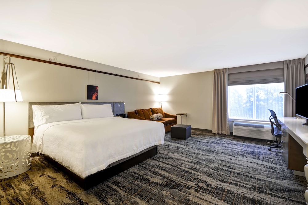 Hilton Garden Inn Austin Round Rock - photo 15