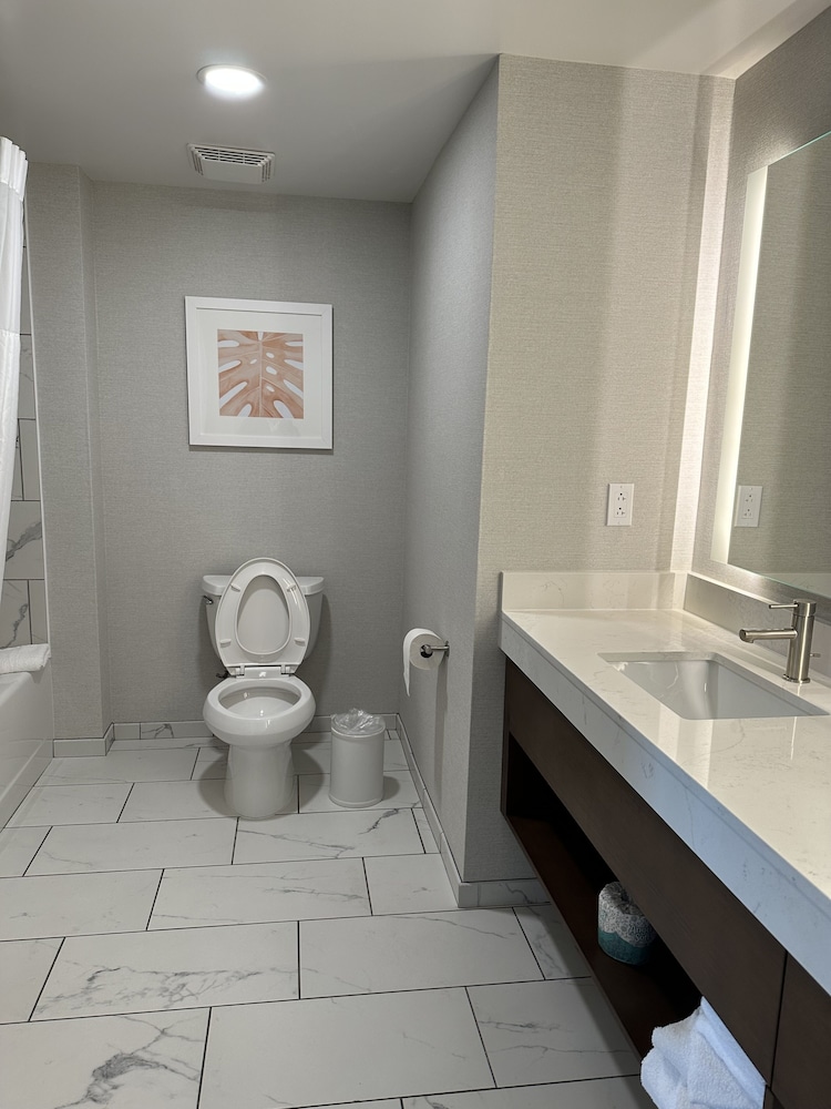 Hampton Inn Virginia Beach Oceanfront South - photo 44
