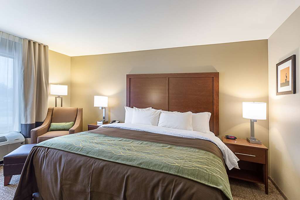 Comfort Inn & Suites Zachary - photo 18
