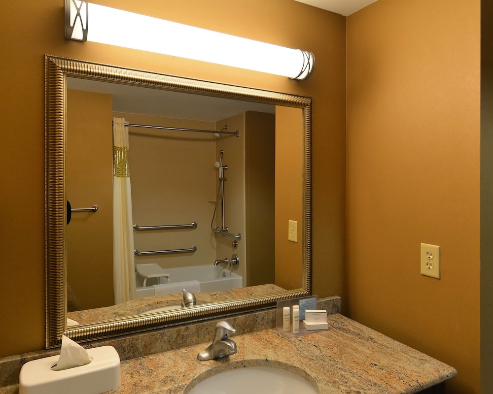 Hampton Inn Geneseo - photo 25