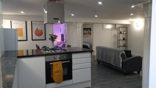 2 Bed Basement Apartment Short Term Rental & Flexible Renting Shoreditch With Free WiFi — 4-Star Luxury Hotel in London, United Kingdom