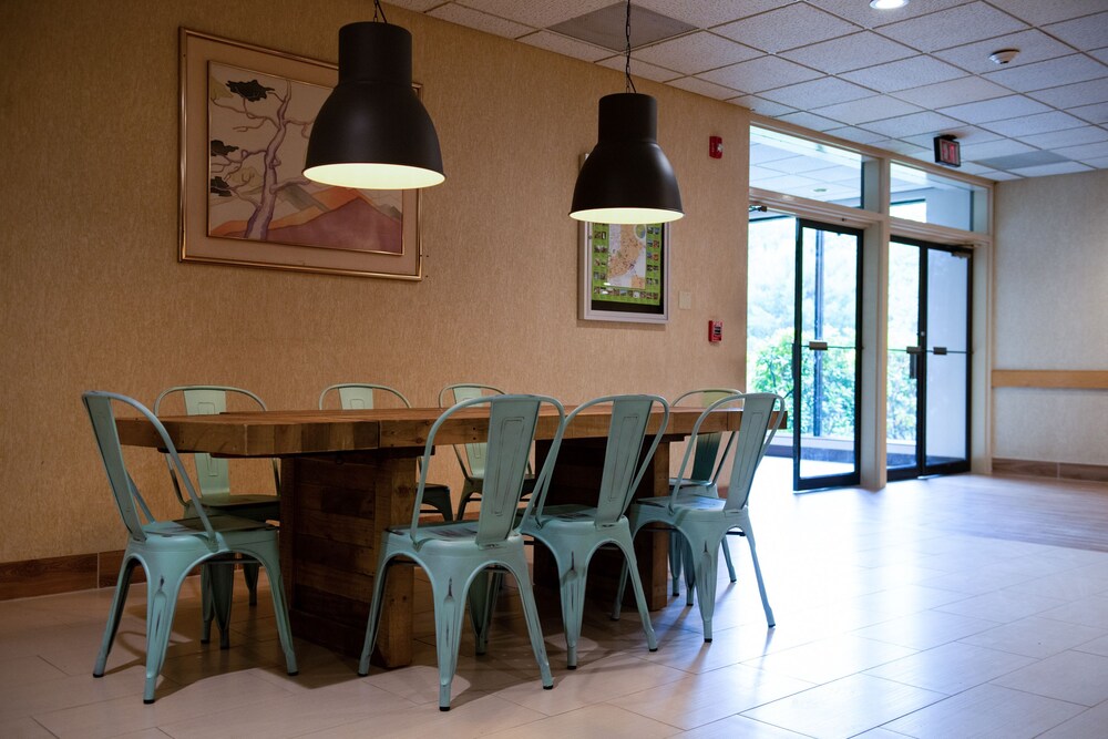 Mountain Laurel Resort - photo 5