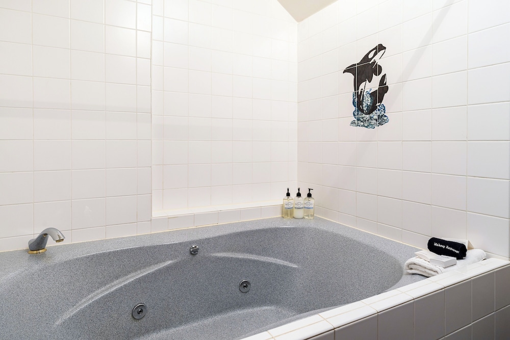Bird Rock Hotel - photo 54