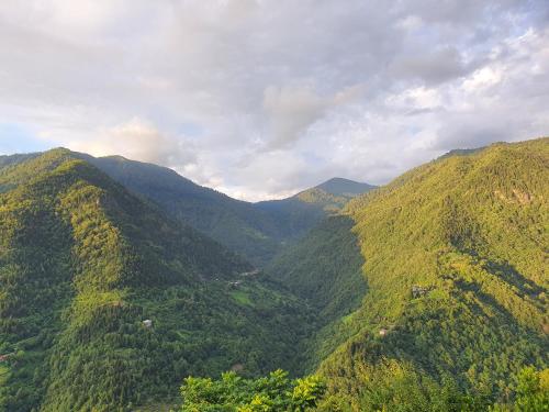 Villa Machakhela ვილა მაჭახელა
