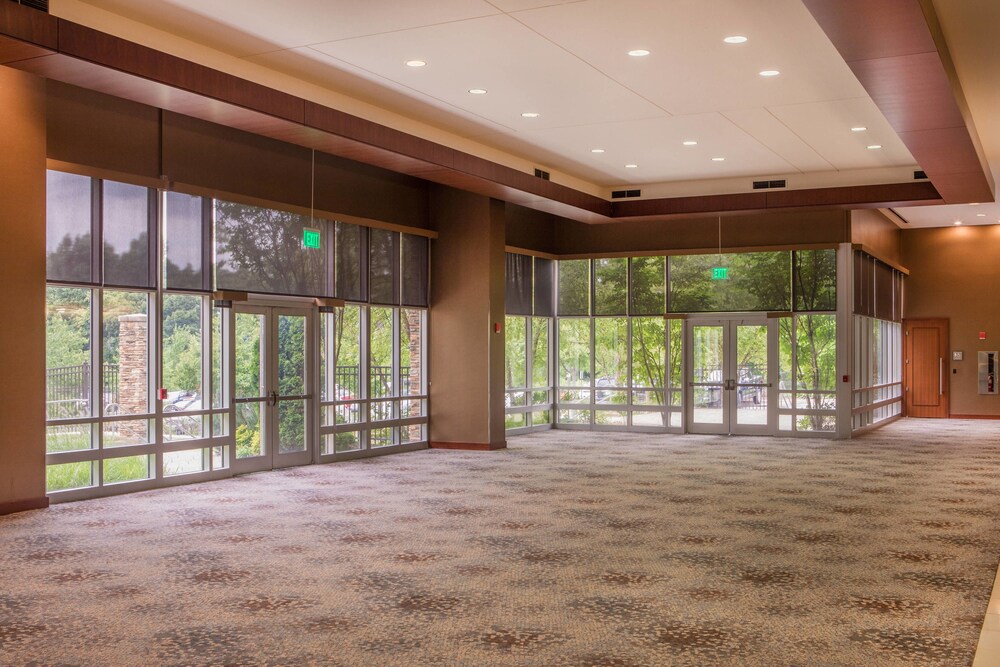 The Westin Baltimore Washington Airport BWI - photo 33