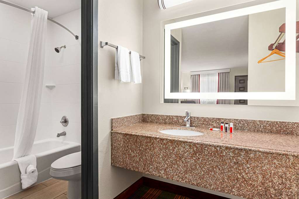 Ramada by Wyndham San Antonio Near SeaWorld Lackland AFB - photo 19