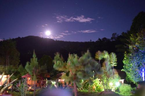 Mountain View Resort & SPA — Manado — photo 4