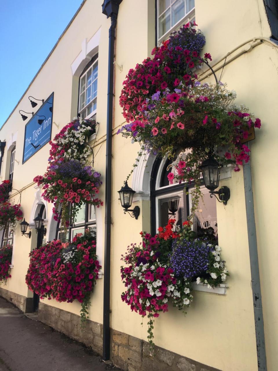 Tiger Inn in Bridport, United Kingdom