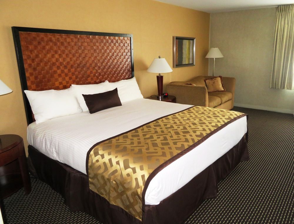 Skyline Hotel - photo 9