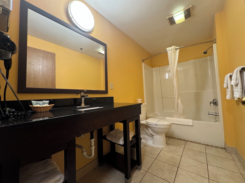 The Royal Victorian Motel - photo 43