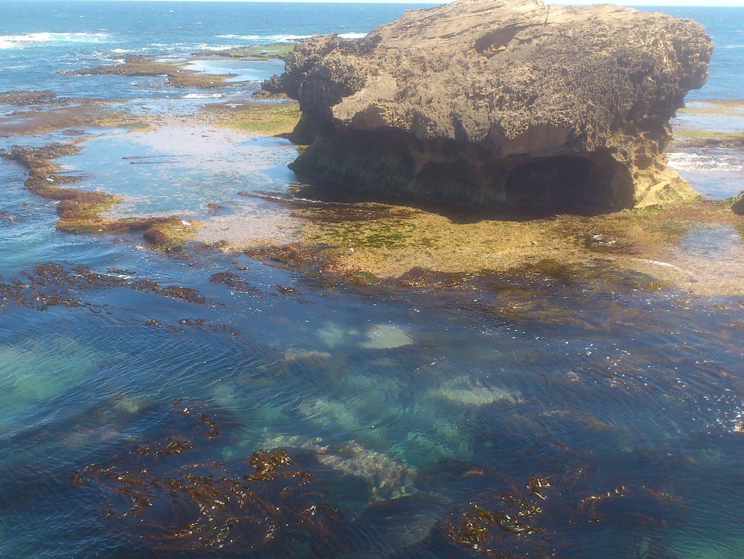 Southern Right Motor Inn