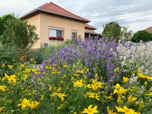 Levendula Apartmanház — 4-Star Luxury Hotel in Gyomaendrod, Hungary