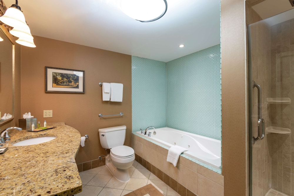DoubleTree by Hilton Hotel Grand Rapids Airport - photo 44