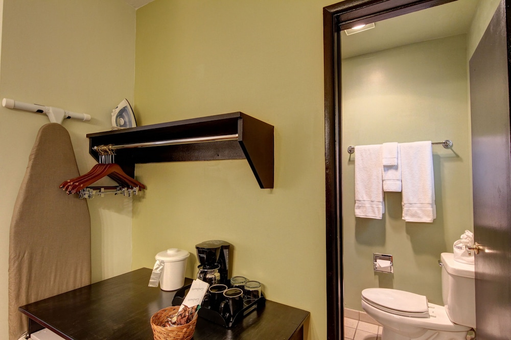 Caliente Tropics Hotel - photo 5