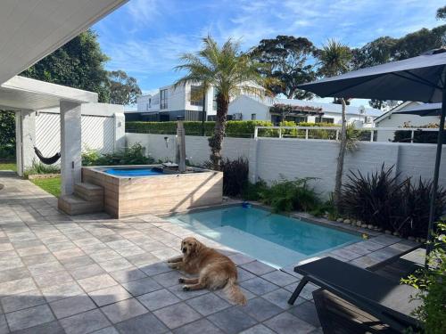 Herons House — 4-Star Luxury Hotel in Knysna, South Africa