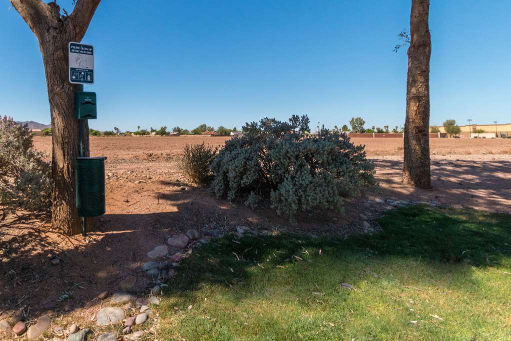 Quality Inn Casa Grande I 10 - photo 3