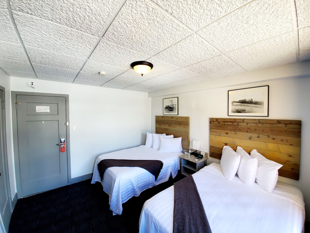 Hotel Nevada - photo 10